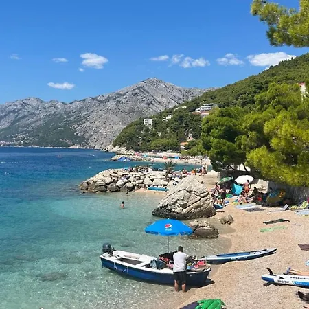 Sunny Lux 2 In By Guide *